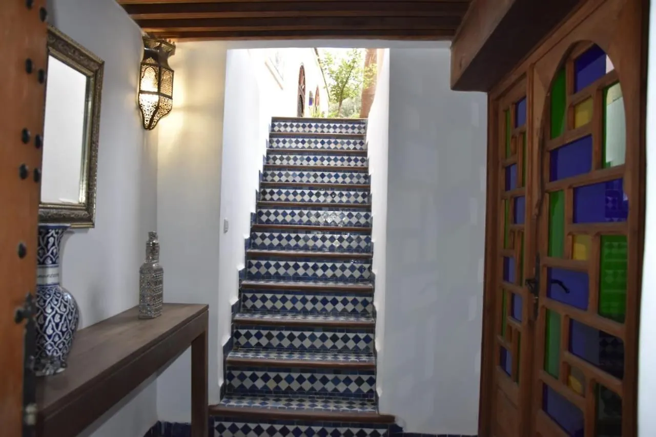 Riad Lotus Bleu Fes Morocco